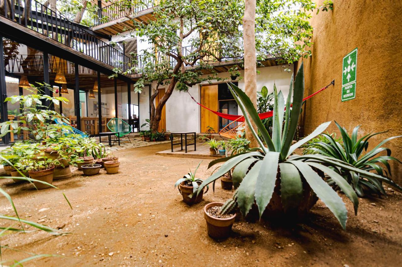 Hotel Con Corazon Oaxaca Екстер'єр фото