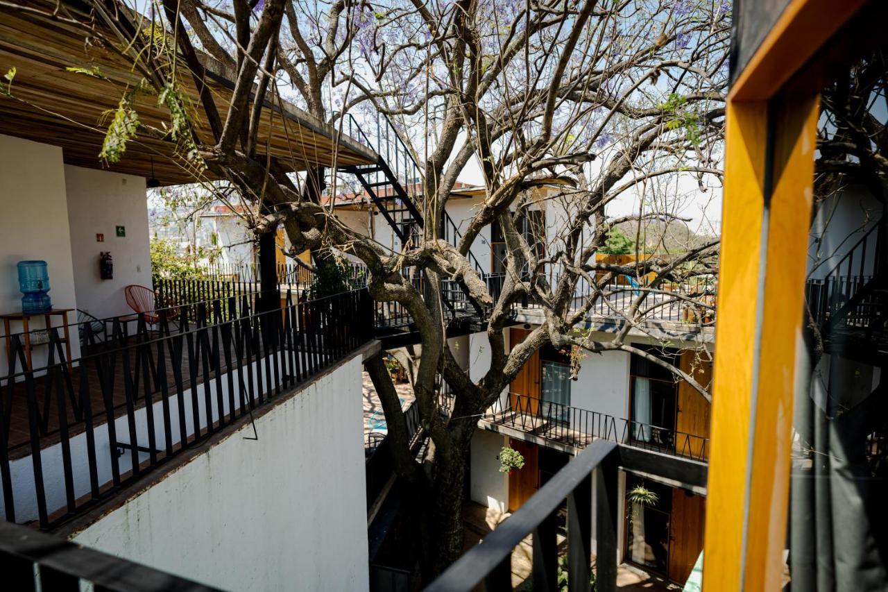 Hotel Con Corazon Oaxaca Екстер'єр фото