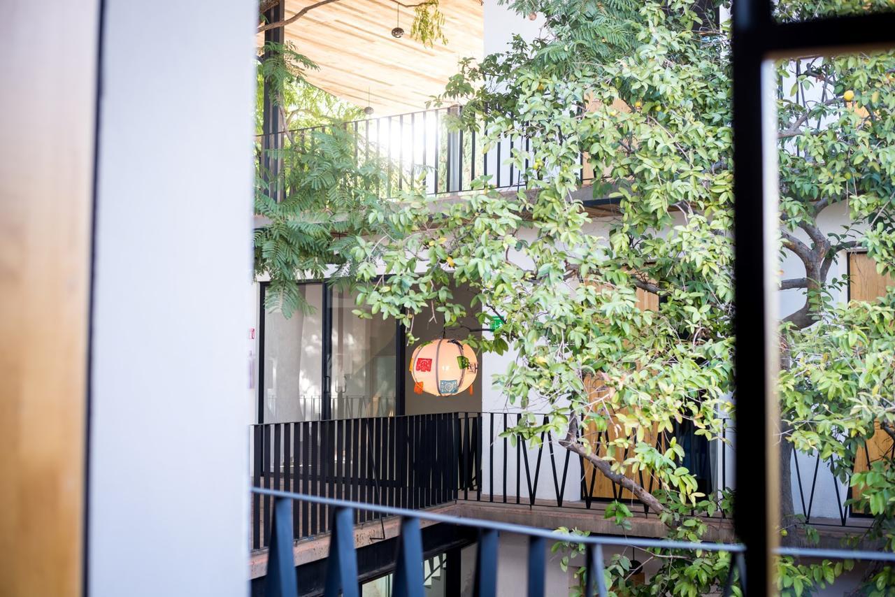 Hotel Con Corazon Oaxaca Екстер'єр фото
