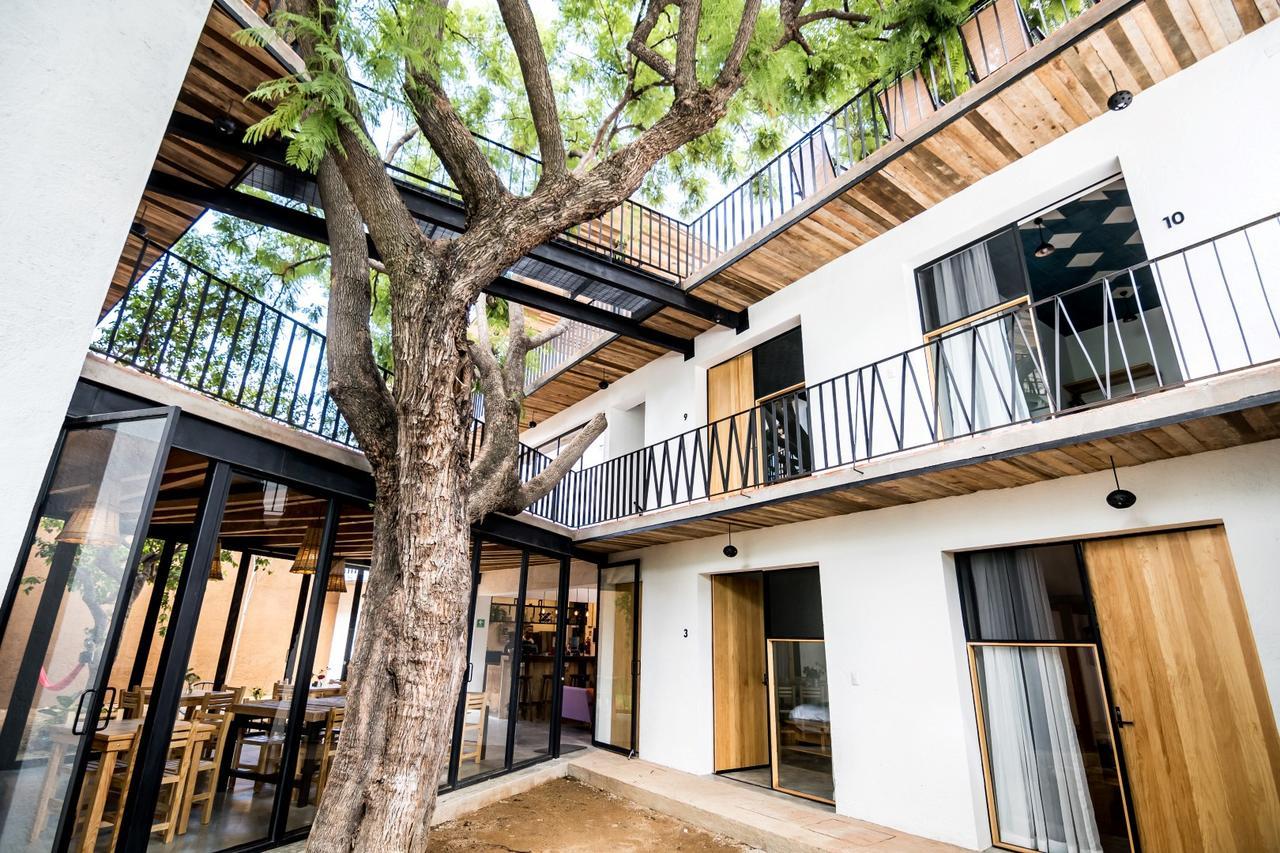 Hotel Con Corazon Oaxaca Екстер'єр фото